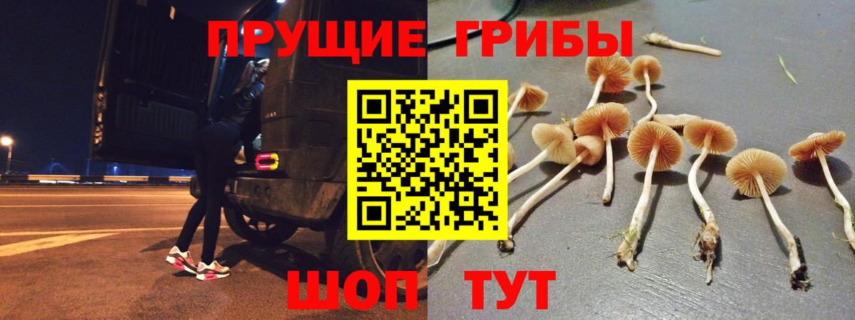 Галлюциногенные грибы ЛСД  Вход с VPN  Тула  Псилоцибиновые грибы Magic Shrooms 